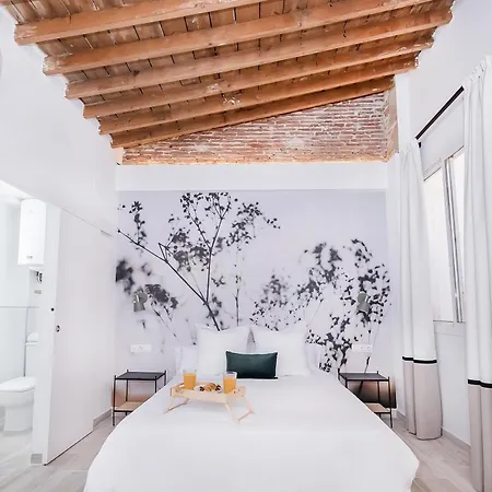 Apartment Exclusive Comedia Malaga